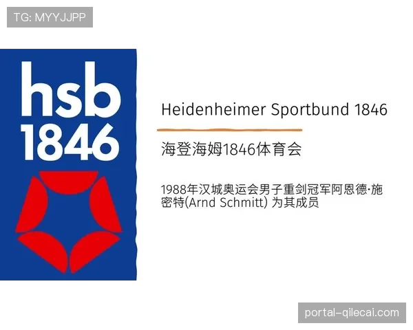 海登海姆2-0战胜波鸿，升至积分榜第九创队史新高